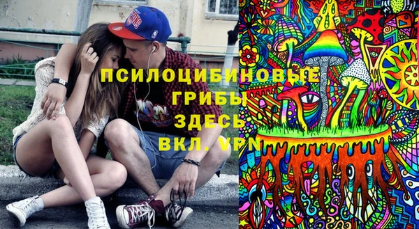 ГАЛЛЮЦИНОГЕННЫЕ ГРИБЫ Алексеевка